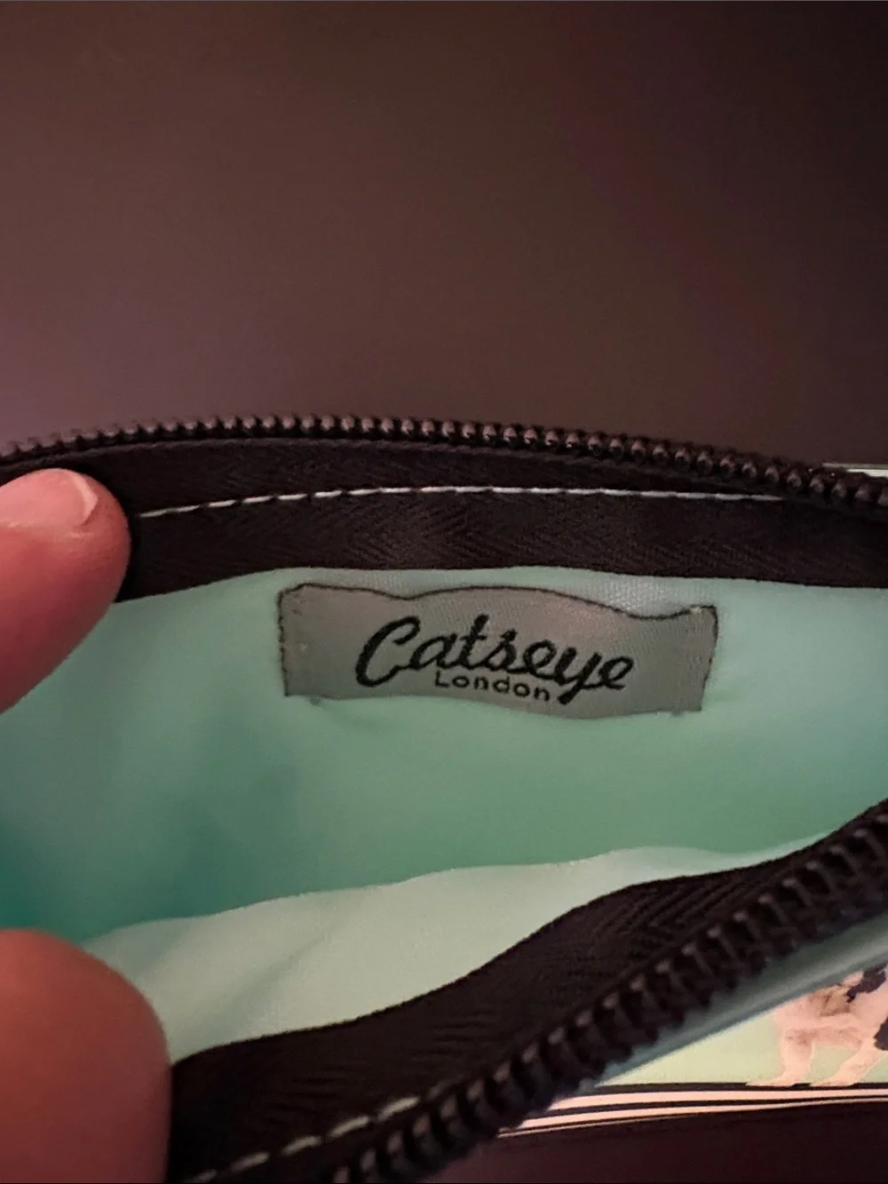 Catseye Mint Green, French BullDog Zip Cosmetic Bag